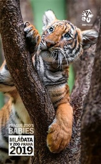 Mláďata v Zoo Praha - Nástěnný kalendář 2019