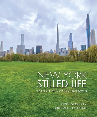 New York Stilled Life New York Stilled Life