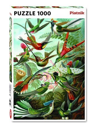 Puzzle 1000 d. Haeckel - Kolibris
