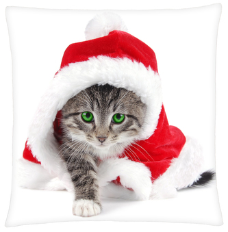 Polštář KOČKA S ČEPICÍ  Mybesthome 40x40 cm