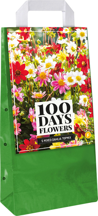 Taška - JIŘINA TOPMIX MIX (5 hlíz)"F"