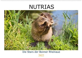 NUTRIAS  - Die Stars der Bonner Rheinaue (Wandkalender 2022 DIN A2 quer)