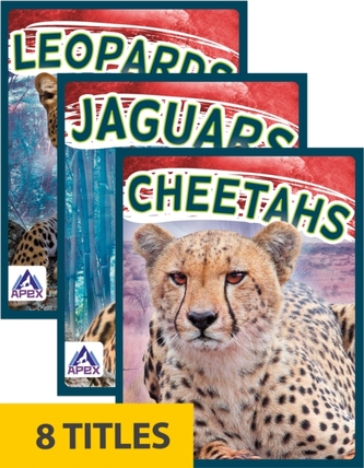 Wild Cats (Set of 8)