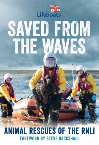 Saved from the Waves Saved from the Waves