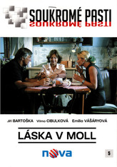 Soukromé pasti 05 (Láska v moll)