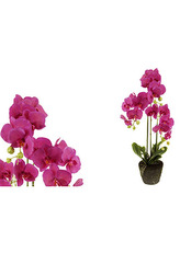 Velkokvětá orchidea, 3 stonky, barva fialová, umělá květina v balu.