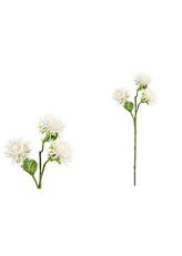 Chryzantéma, barva bílá ojíněná. Květina umělá.