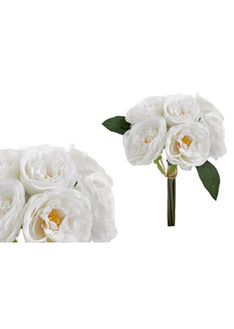 Puget růží, barva bílá.