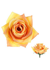 Růže, barva žlutá. Květina umělá vazbová. Cena za balení 12 kusů