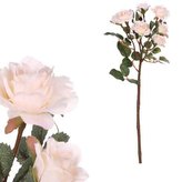 Růže na kmínku, krémová barva.