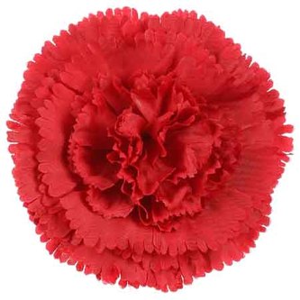 Karafiát, barva červená. Květina umělá vazbová. Cena za balení 12 kusů