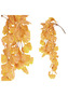 Ginkgo biloba, převis, umělá květina, podzimní žlutá barva.