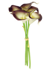 Kala, 5 kusů ve svazku, barva bílo-šedá. Květina umělá.