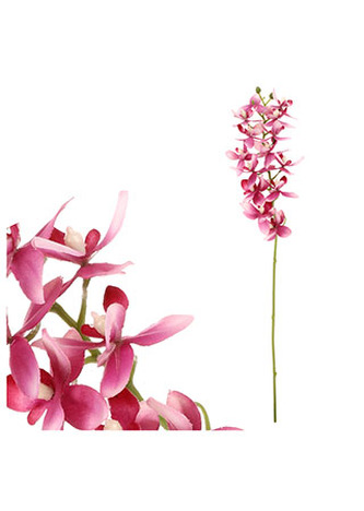 Orchidea drobnokvětá, fialová barva.