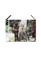 Obraz, nástěnná svítící dekorace - 1 ks LED světla.