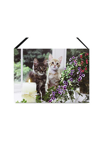 Obraz, nástěnná svítící dekorace - 1 ks LED světla.