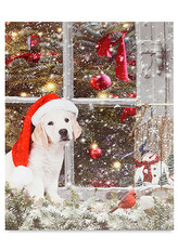 Obraz nástěnná svítící dekorace -  4 ks LED světla, zimní motiv