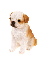 Pes z polyresinu. Interiérová dekorace.