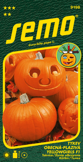 Tykev okrasná - Yellowgirls F1 3g