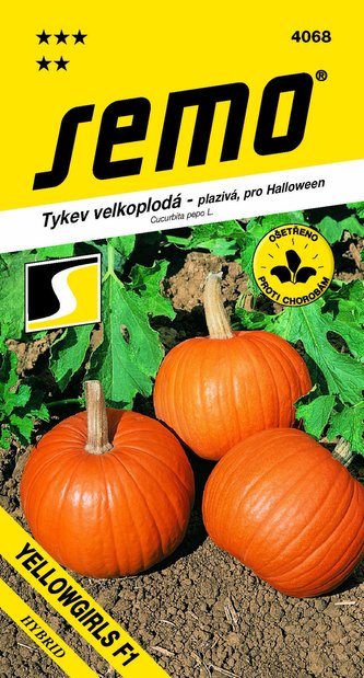Tykev plazivá - Yellowgirls F1 (Halloween) 3g
