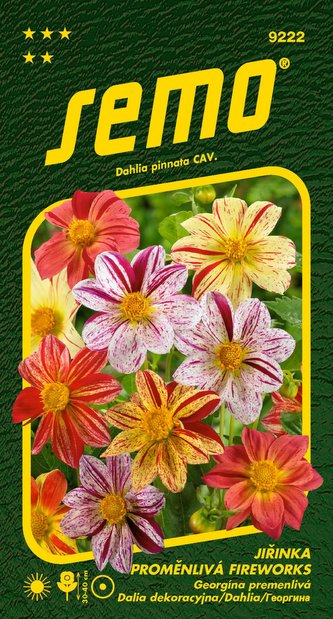 Jiřinka proměnlivá - Fireworks 0,3g