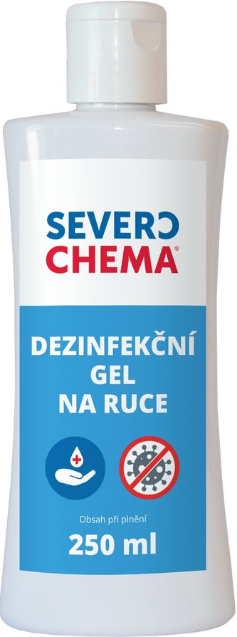Dezinfekční gel na ruce - 250 ml /cena bez slev/