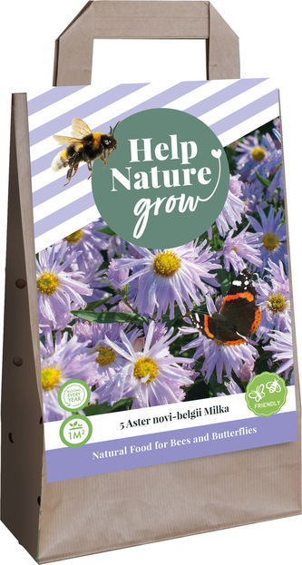 Taška - JARNÍ ASTRA NOVI BELGII MILKA (5 hlíz) "F"