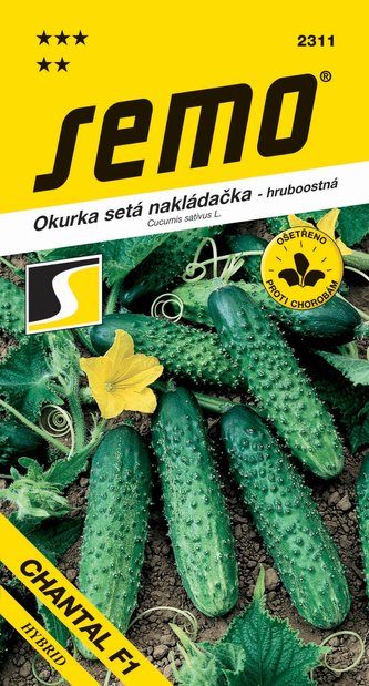 Okurka nakl. - Chantal F1 hr 2g