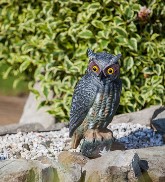 Sova - 40 cm (001107-00)