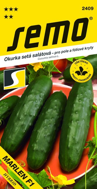 Okurka salát. - Marlen F1 fol., pole 1,3g