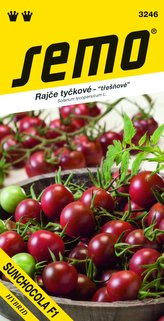 Rajče tyč. - Sunchocola F1 12s