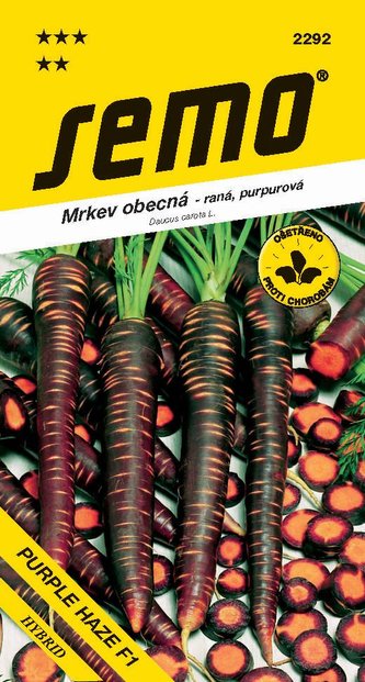 Mrkev Karotka - Purple Haze F1 poloraná fialová 350s