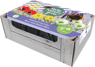 Bedýnka - Mix pro včely a motýly (25 cibulí)