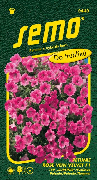 Petunie převislá - Rose Vein Velvet F1 (typ Surfinie) 10p