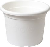 Obal Narcis - bílý 23 cm