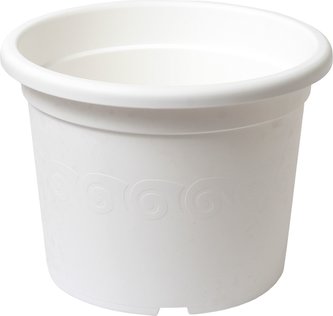 Obal Narcis - bílý 23 cm