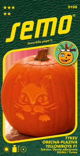 Tykev okrasná - Yellowboys F1 3g