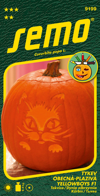 Tykev okrasná - Yellowboys F1 3g