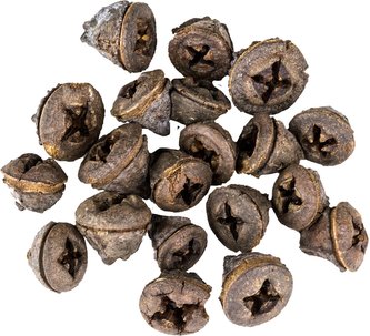 Dekorace - Eucalyptus Pod - 20 ks