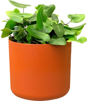 Obal B.For Soft Round - brique 18 cm