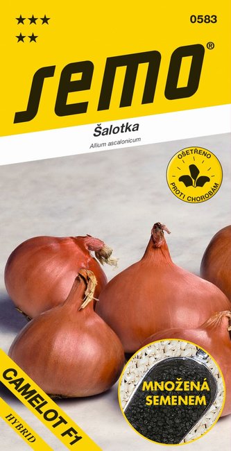 Cibule šalotka - Camelot F1 červená 50s