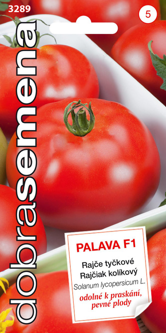 Dobrá semena Rajče tyč. - Palava F1 20s Dobrá semena Rajče tyč. - Palava F1 20s