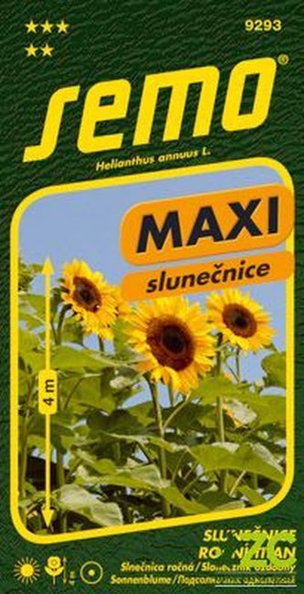 Slunečnice roční - Kong F1 (Titan) 1,5g - série MAXI