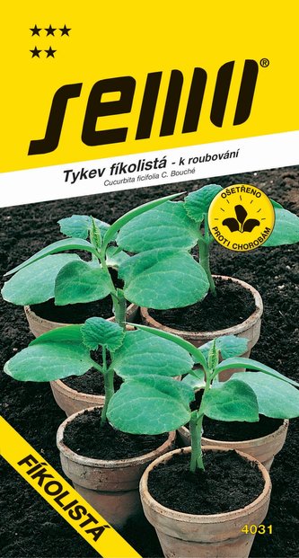Tykev k roubování - fíkolistá (SM CF 106) 15s  série "Roubuj s námi"
