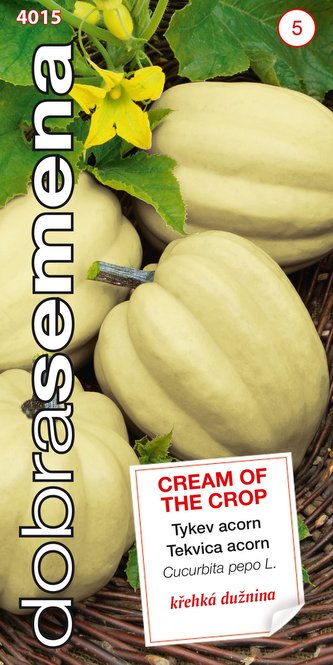 Dobrá semena Tykev acorn - Cream of the Crop, smetanově bílá 10s