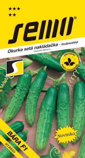 Okurka nakl. - Bára F1 hr 2g