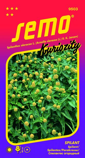 Spilant 0,1g - série KURIOZITY