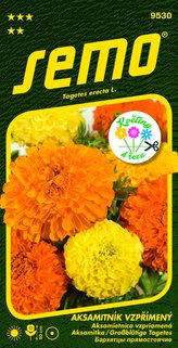 Aksamitník vzpřímený - Imperiale směs 1g - série KVĚTINY K ŘEZU