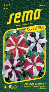 Petunie velkokvětá - Star F1 30p