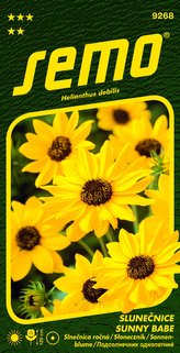 Slunečnice slabá - Sunny Babe 1,2g - série NEKTAR PÁRTY